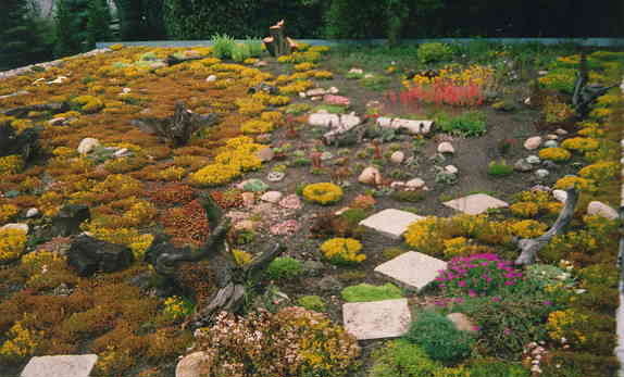 Ansicht unseres Dachgartens im Sommer 1998